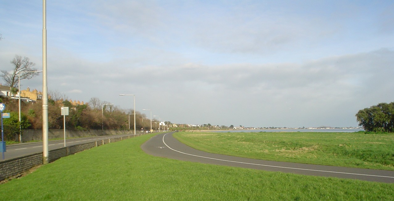 A photo of the Nature Reserve. To the left of this picture is the James Larkin Road, the centre is the cycle track leading to the Causeway Road and the Nature Reserve is on your right.