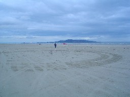 The Beach at Dollymount with Howth Head in Background. Click on photo to return to article