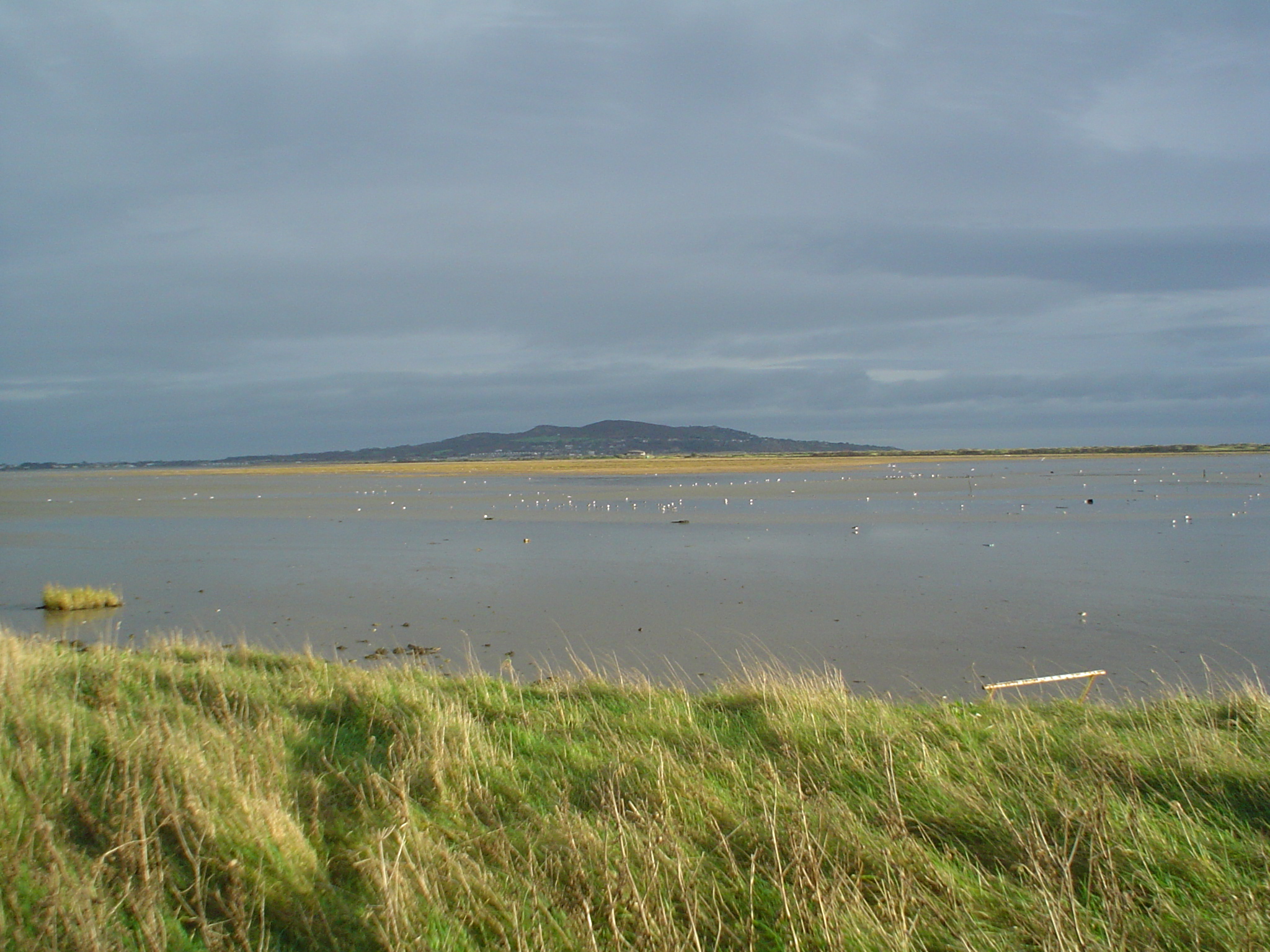 The North Bull Island Nature Reserve with Howth Head in background