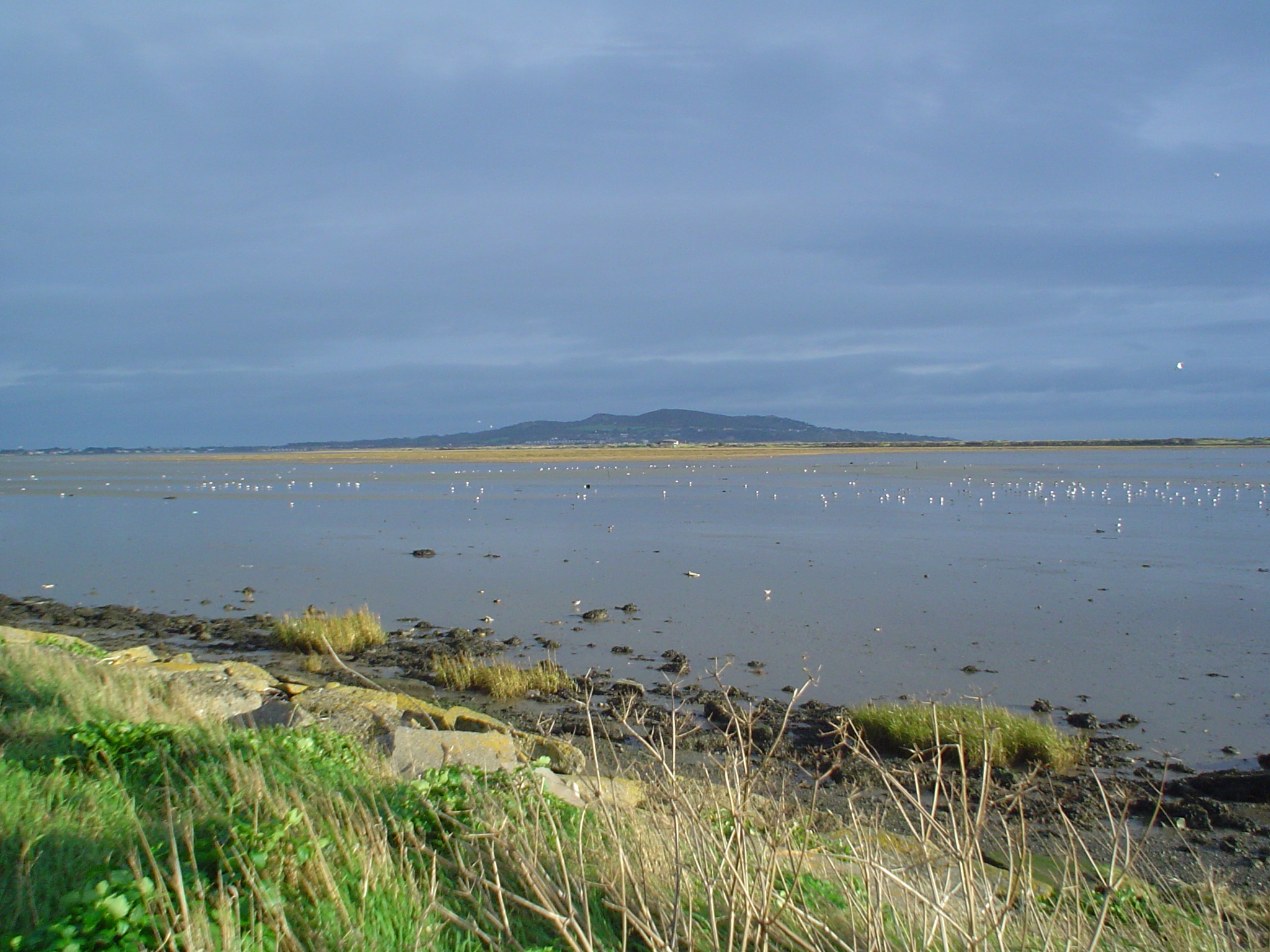 The North Bull Island Nature Reserve with Howth Head in background