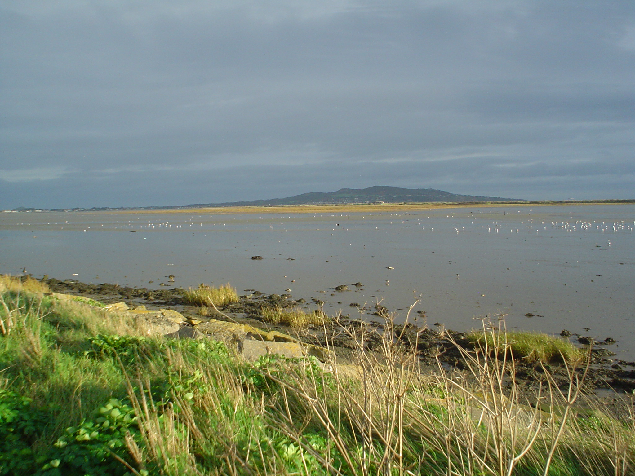 The North Bull Island Nature Reserve with Howth Head in background