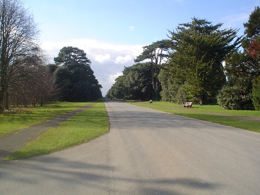 Sunshine on the Main Avenue in St. Anne's Park