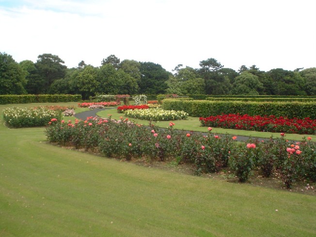 The Rose Garden in St. Anne's Park