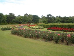 A View of the Rose Garden in St. Anne's Park