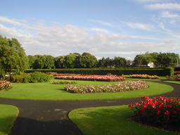 The Rose Garden In St Anne's Park