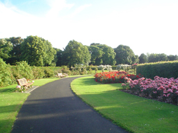 The Rose Garden In St Anne's Park